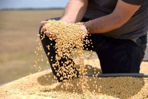 Tarifaço deve atingir 36,5% das exportações do agro para os EUA, diz CNA